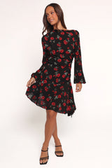 Mariska Long Sleeve Mini Dress - Rose Print