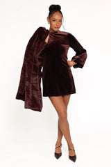 Twylar Long Sleeve Velvet Mini Dress - Brown