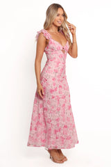 Jean Maxi Dress - Pink Floral