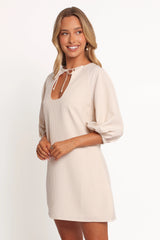 Sidney Mini Dress - Tan Stripe