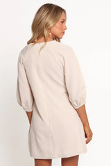 Sidney Mini Dress - Tan Stripe